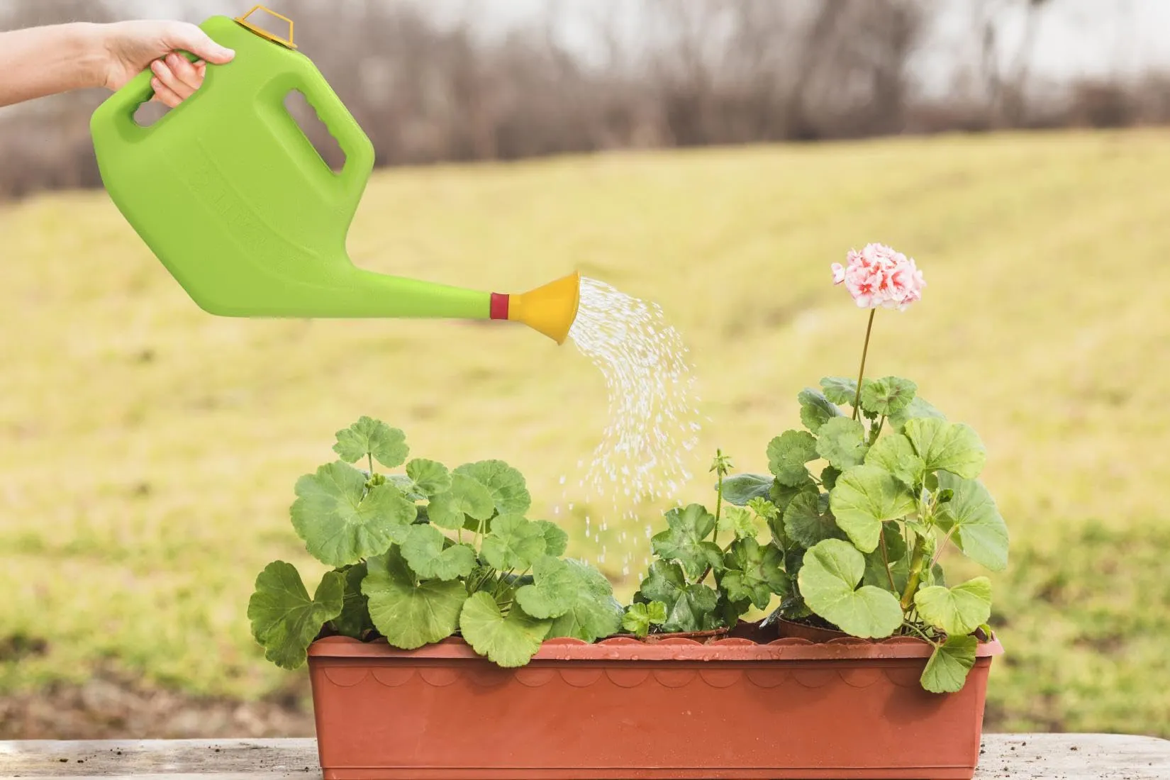 GTB Watering Can (5L) | Plastic Green Water Can with Sprayer for Plants/Garden | Indoor Outdoor Watering Shower Can | Sprinkler for Plants | Watering Hand Bottles for Garden | Water Spray Can