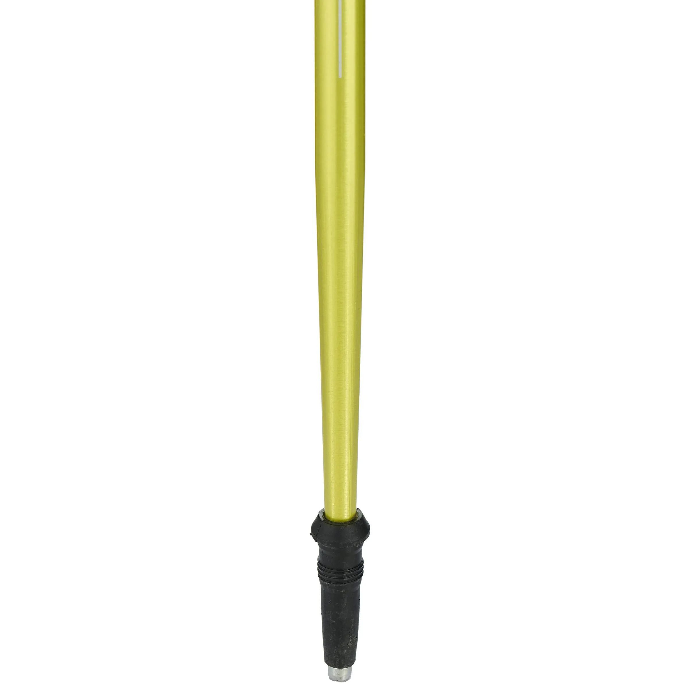 Hiking stick for children Forclaz MH500, green