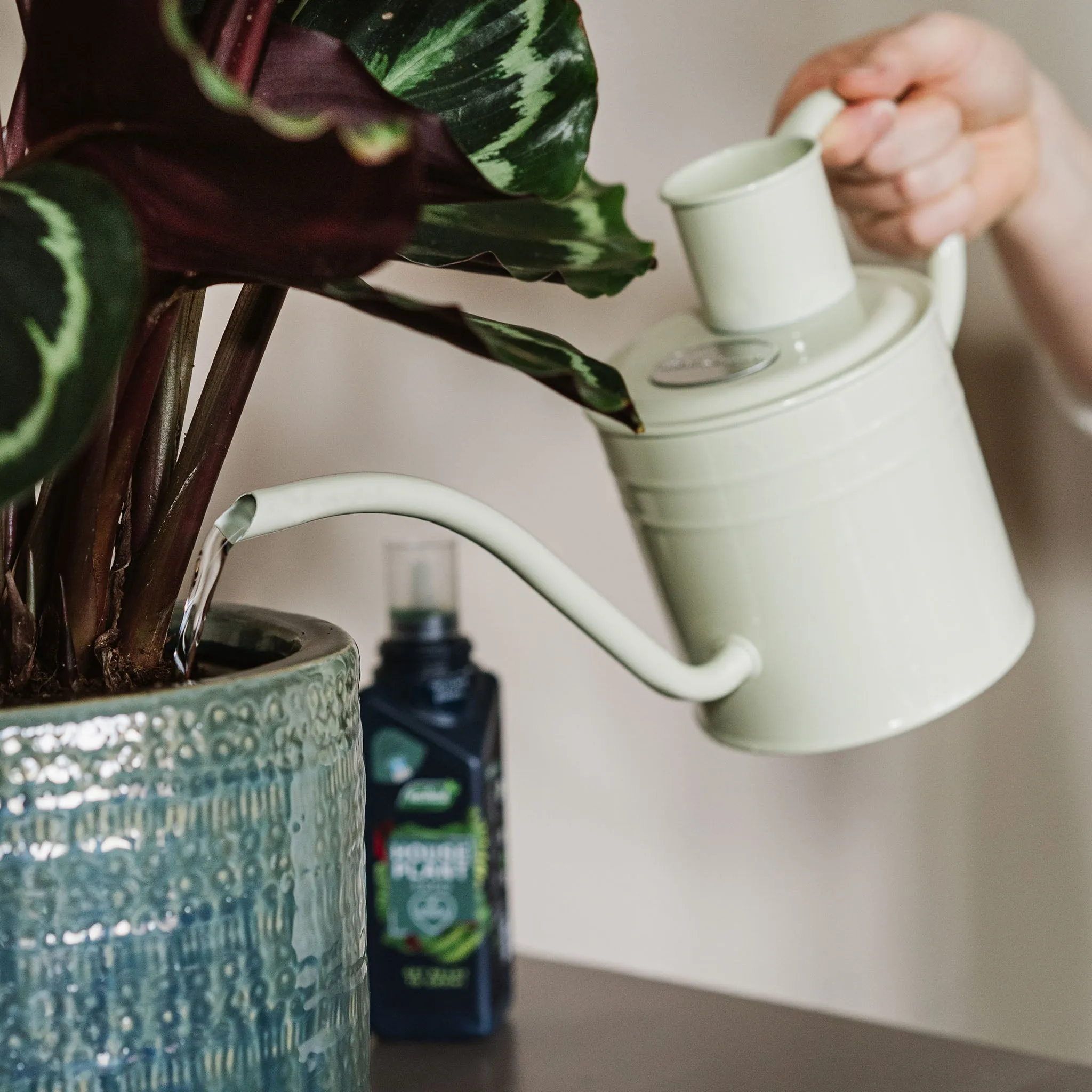 Kent & Stowe Indoor Metal Watering Can Vintage Cream 1L