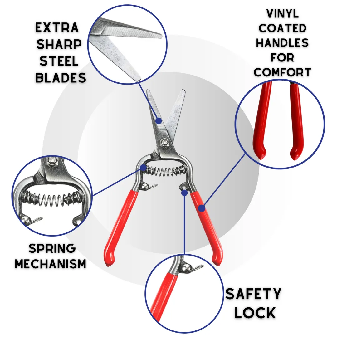 Pruning Shears, 8-Inch  - TP-04608