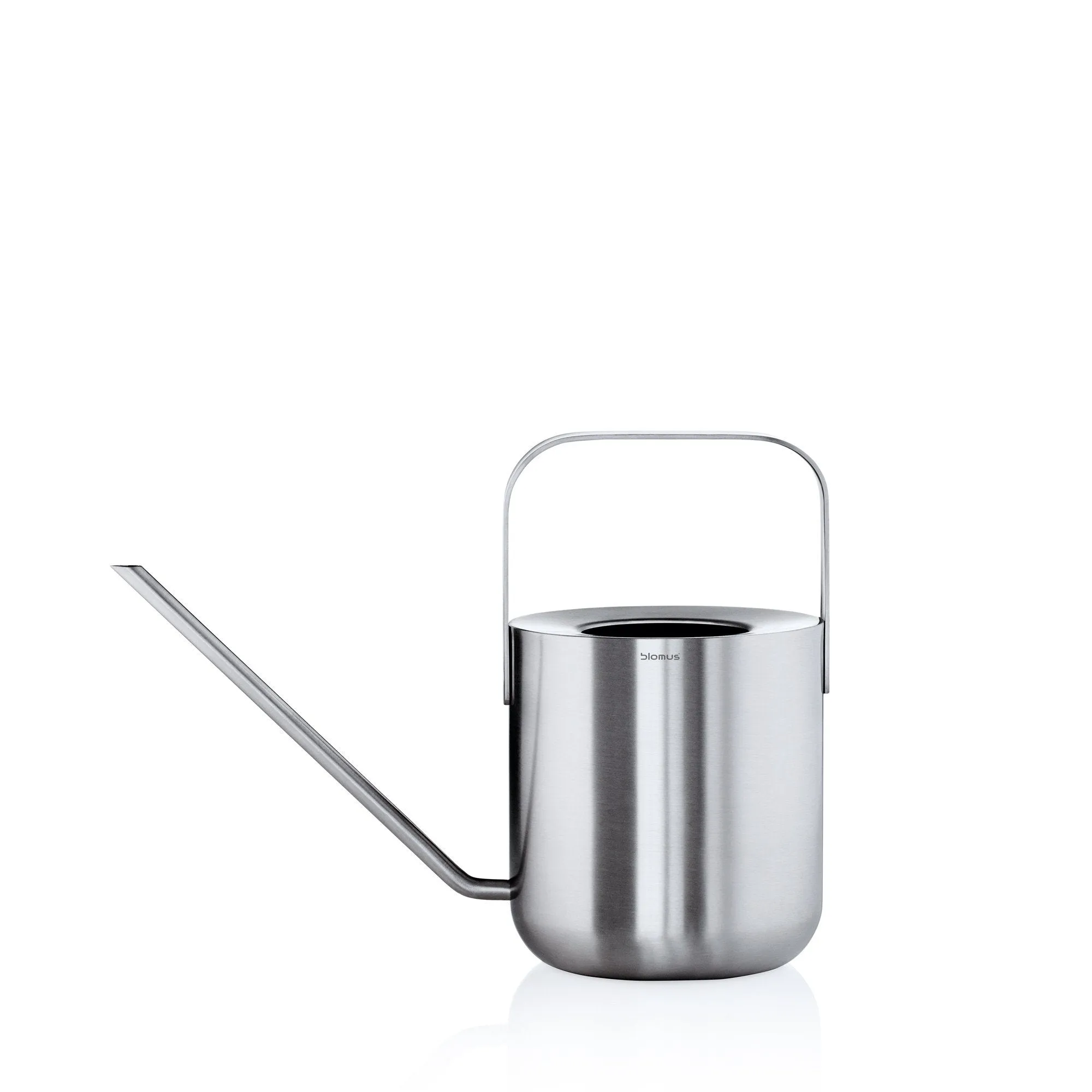 Stainless Steel Watering Can 34 Ounce